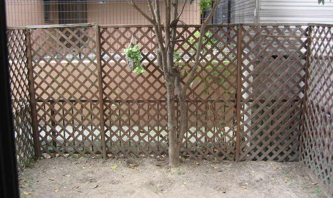 Before画像1